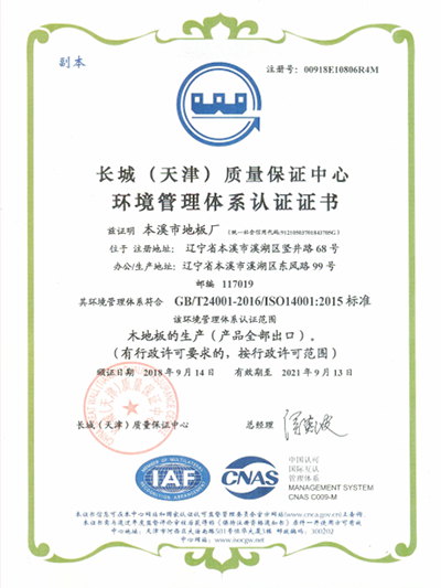 IAF环境管理认证